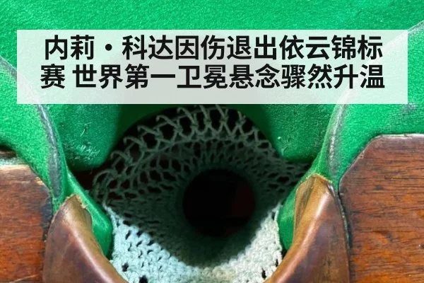 内莉·科达因伤退出依云锦标赛 世界第一卫冕悬念骤然升温