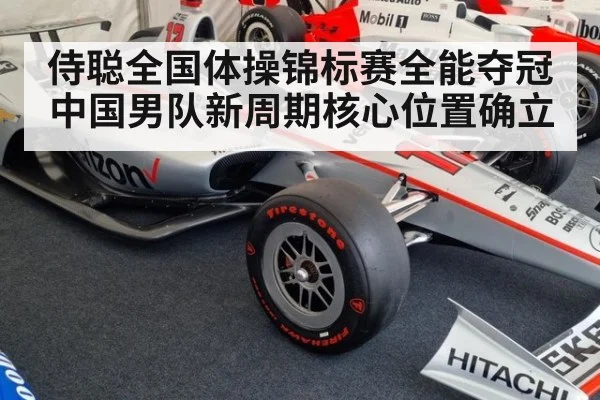 侍聪全国体操锦标赛全能夺冠 中国男队新周期核心位置确立